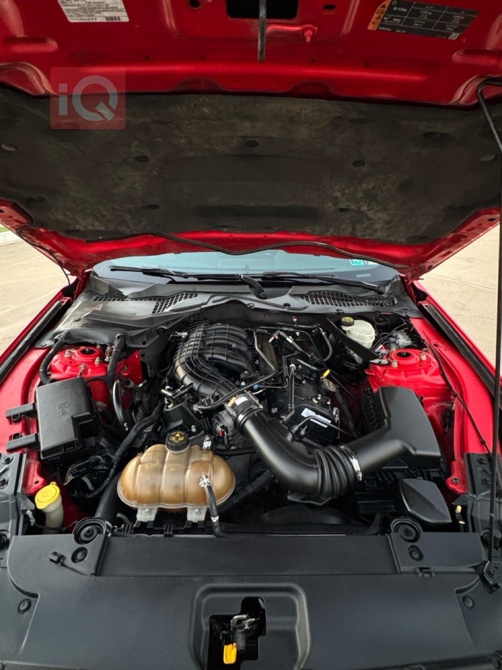 فۆرد مۆستانگ